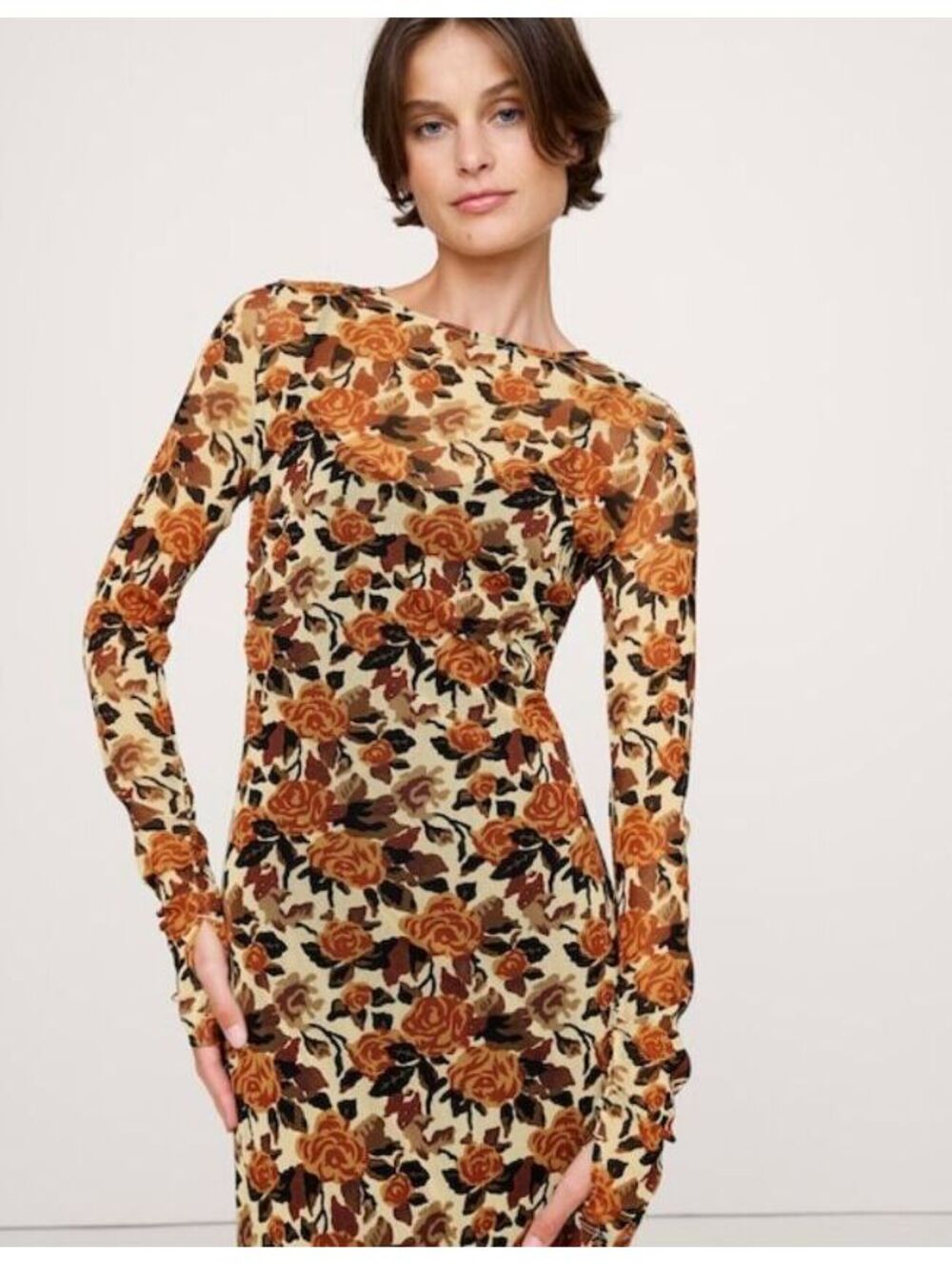 Banana Republic Yellow Roses Printed Mesh Maxi Dress